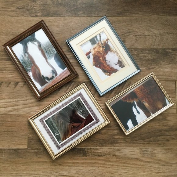 Four Vintage Equestrian Aesthetic Metal Frame + Photos Lot - Picture 1 of 15